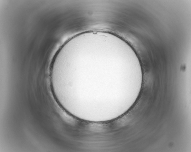 X0000093561470200711121003
