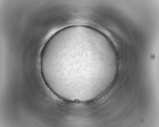 X0000093561472200711121003