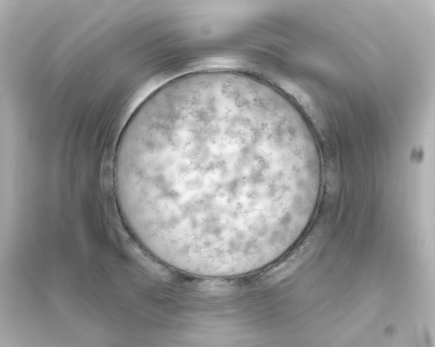 X0000093561473200711121003