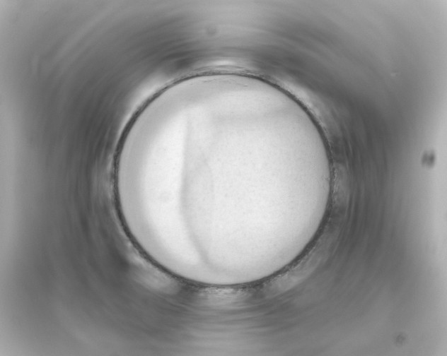 X0000093561474200711121003