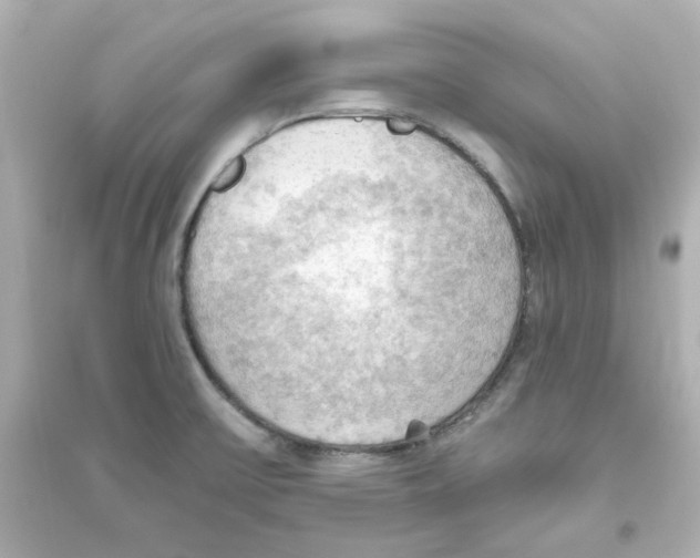 X0000093561475200711121003