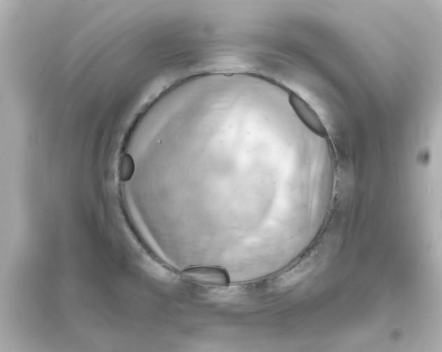 X0000093561477200711121003