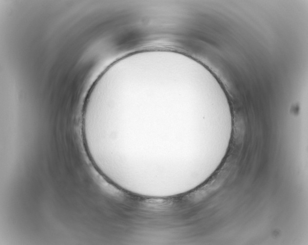 X0000093561478200711121003