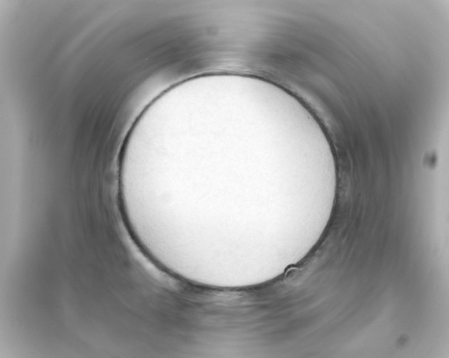 X0000093561479200711121003