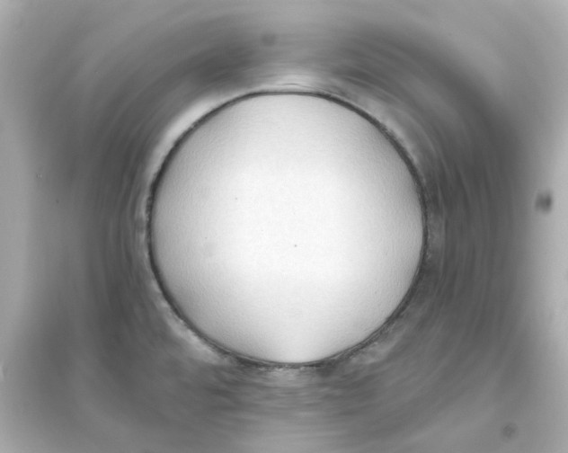 X0000093561480200711121003
