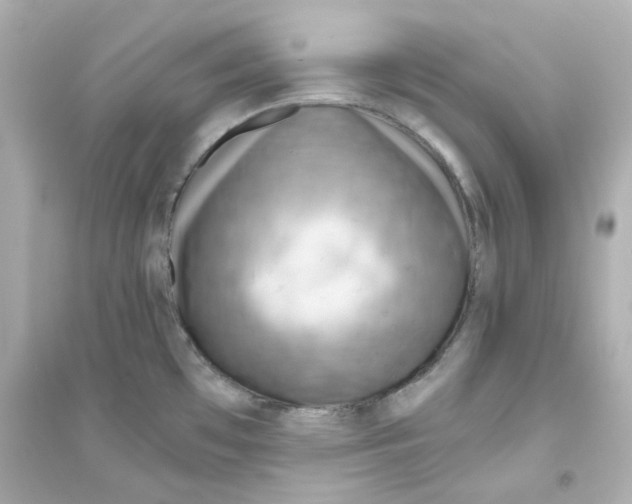 X0000093561481200711121003