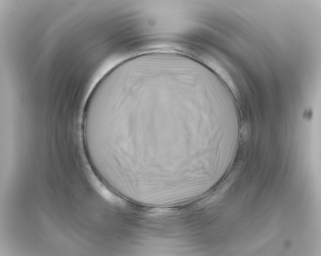 X0000093561482200711121003