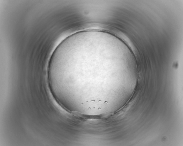 X0000093561483200711121003