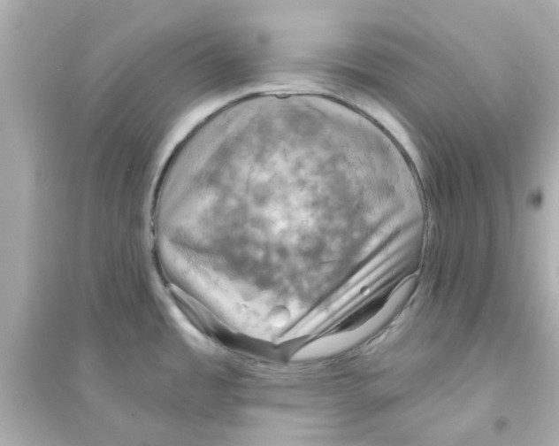 X0000093561485200711121003