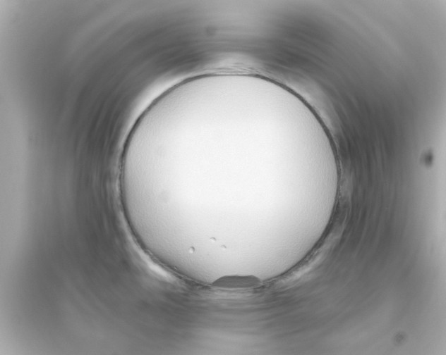 X0000093561486200711121003