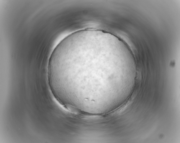X0000093561487200711121003