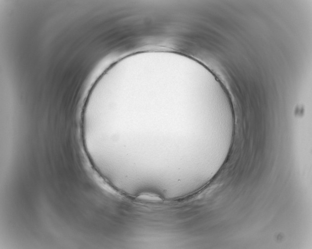 X0000093561488200711121003