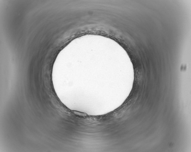 X0000093561489200711121002