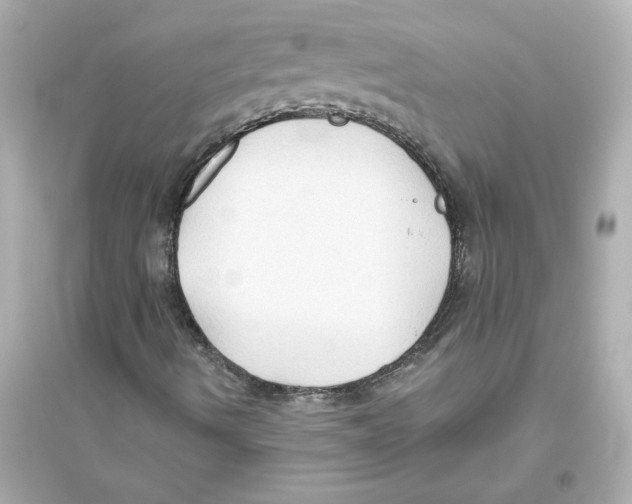 X0000093561490200711121002