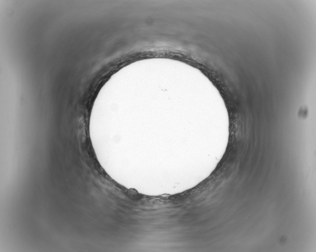 X0000093561493200711121002