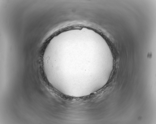 X0000093561496200711121002
