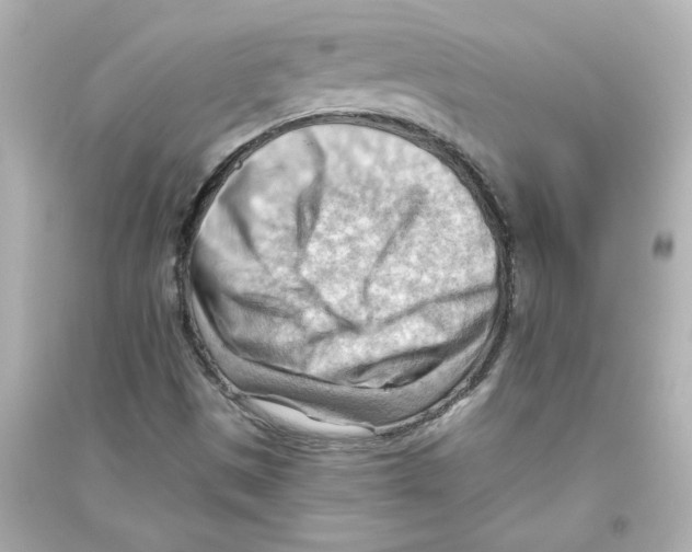 X0000093561497200711121002