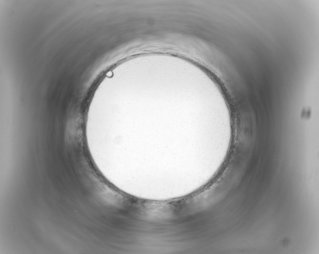 X0000093561498200711121002