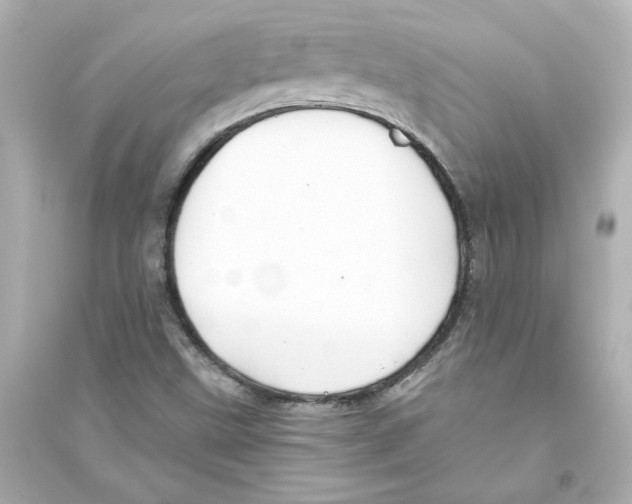 X0000093561499200711121002