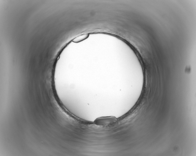 X0000093561500200711121002