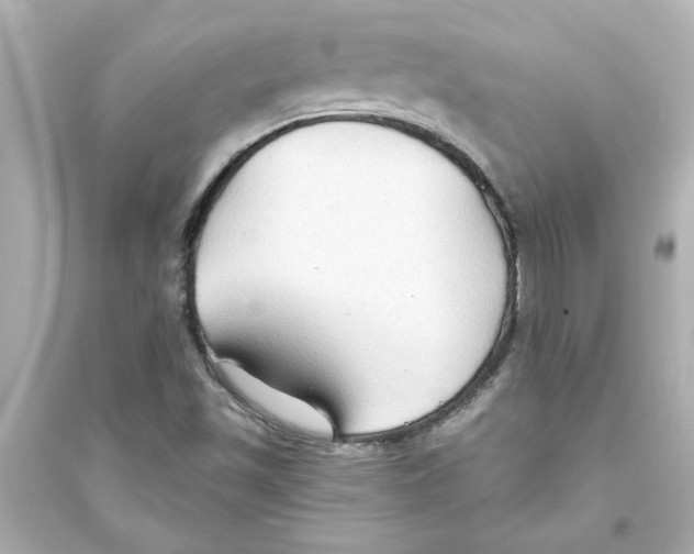 X0000093561501200711121002