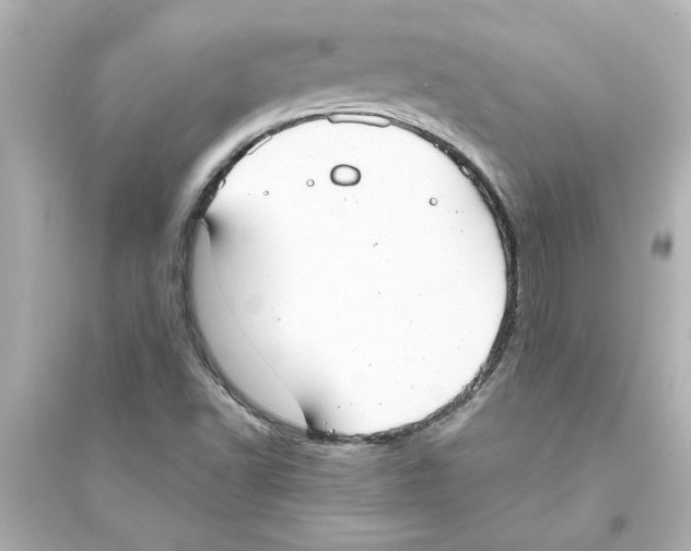X0000093561502200711121002