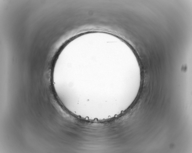 X0000093561503200711121002