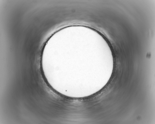 X0000093561504200711121002