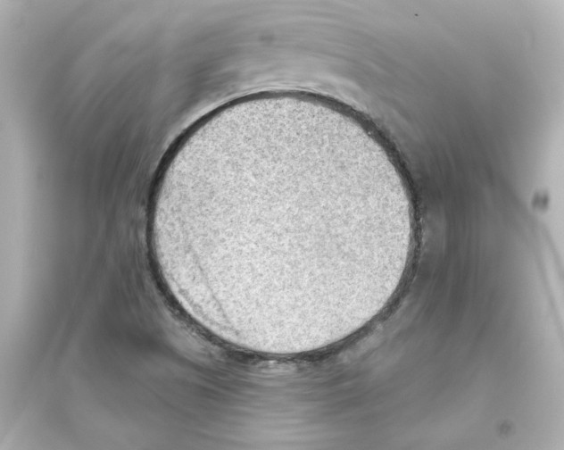 X0000093561505200711121002