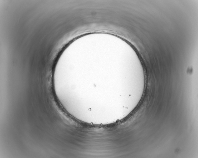 X0000093561507200711121002