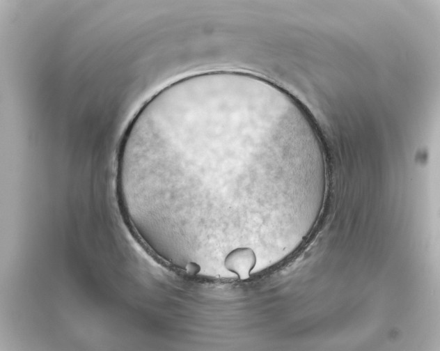 X0000093561508200711121002