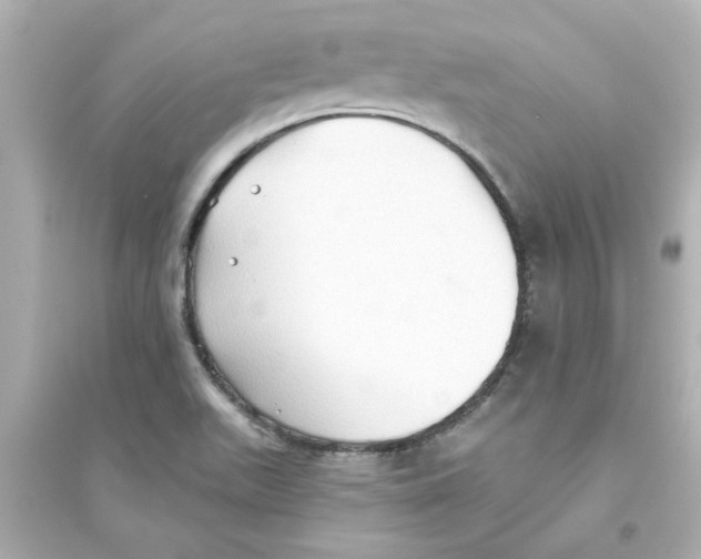 X0000093561511200711121002