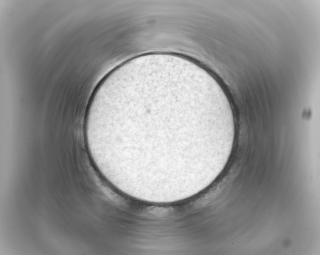 X0000093561513200711121002