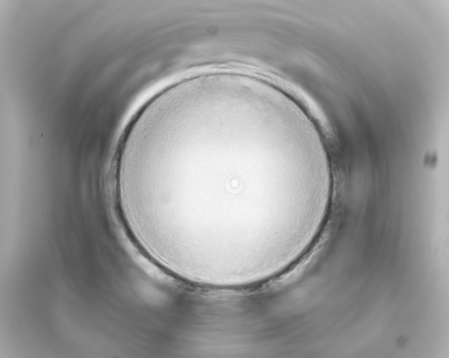 X0000093561514200711121002