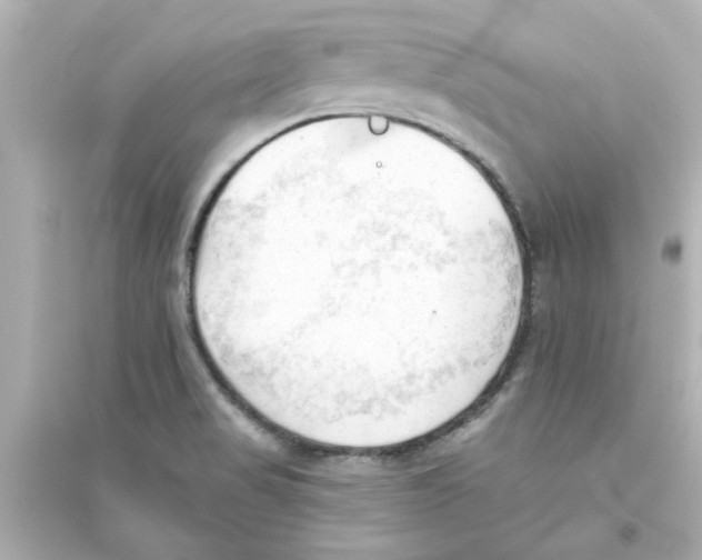 X0000093561517200711121002