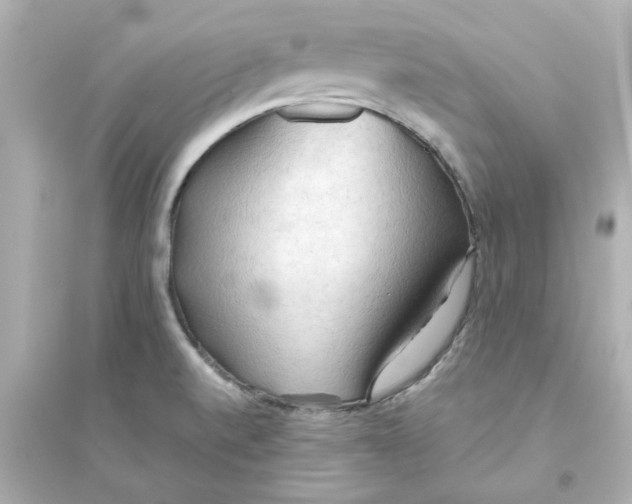 X0000093561520200711121002