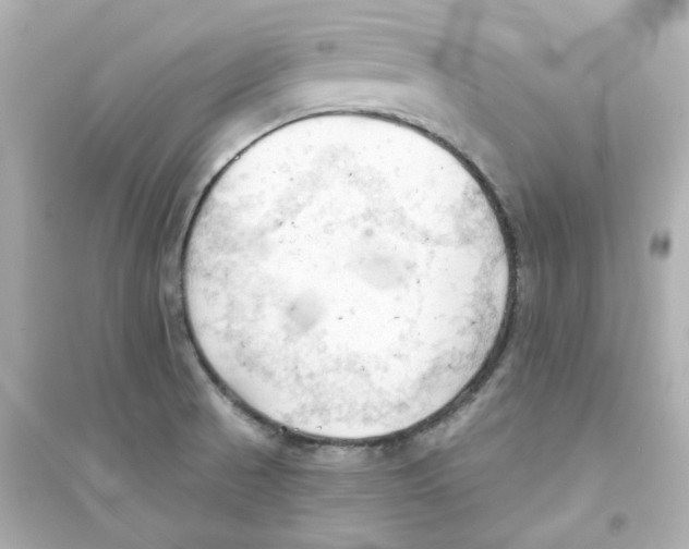 X0000093561521200711121002