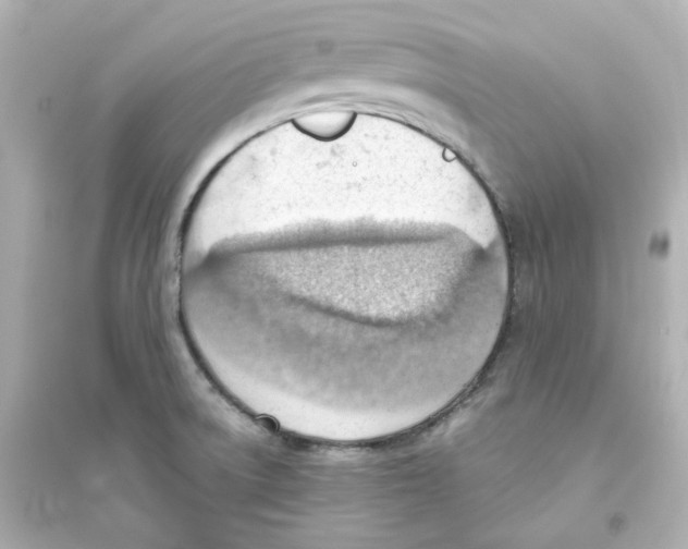 X0000093561522200711121002