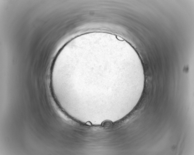 X0000093561523200711121002