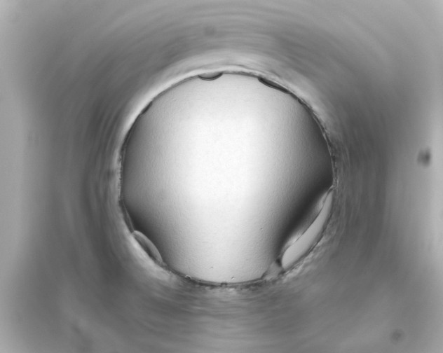 X0000093561524200711121002