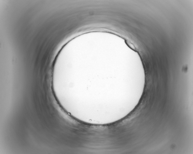 X0000093561526200711121002