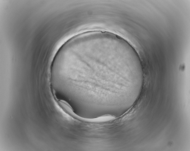 X0000093561527200711121003