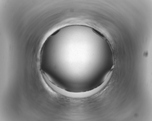 X0000093561528200711121003