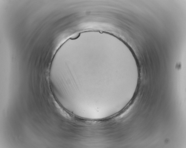 X0000093561529200711121003