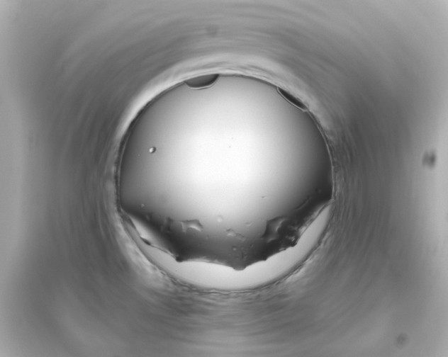 X0000093561530200711121003