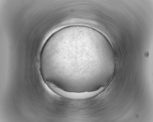 X0000093561531200711121003