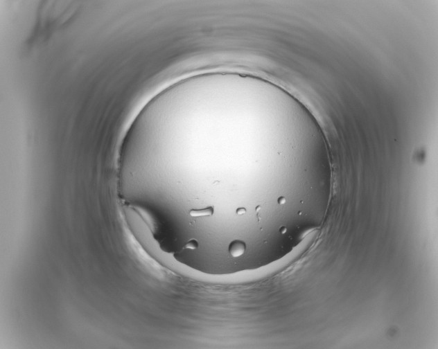 X0000093561532200711121003