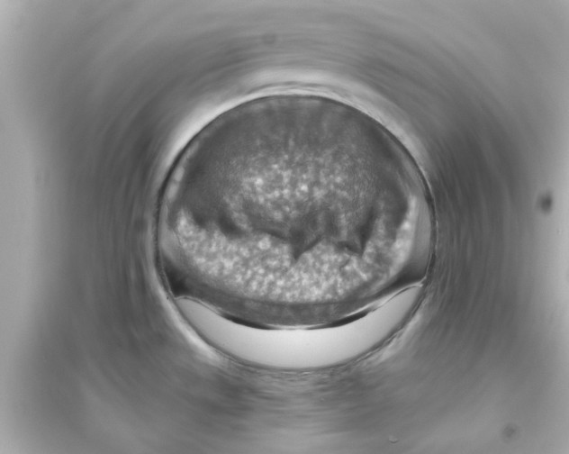 X0000093561533200711121003