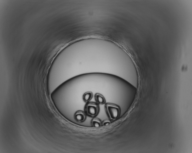 X0000093570001200710151026