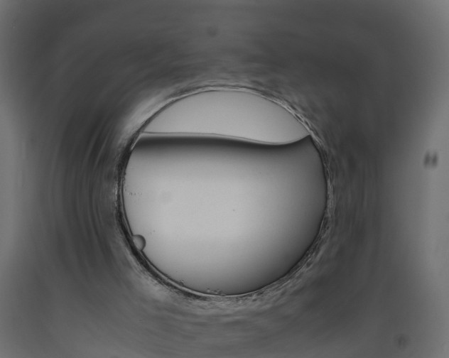 X0000093570005200710151026